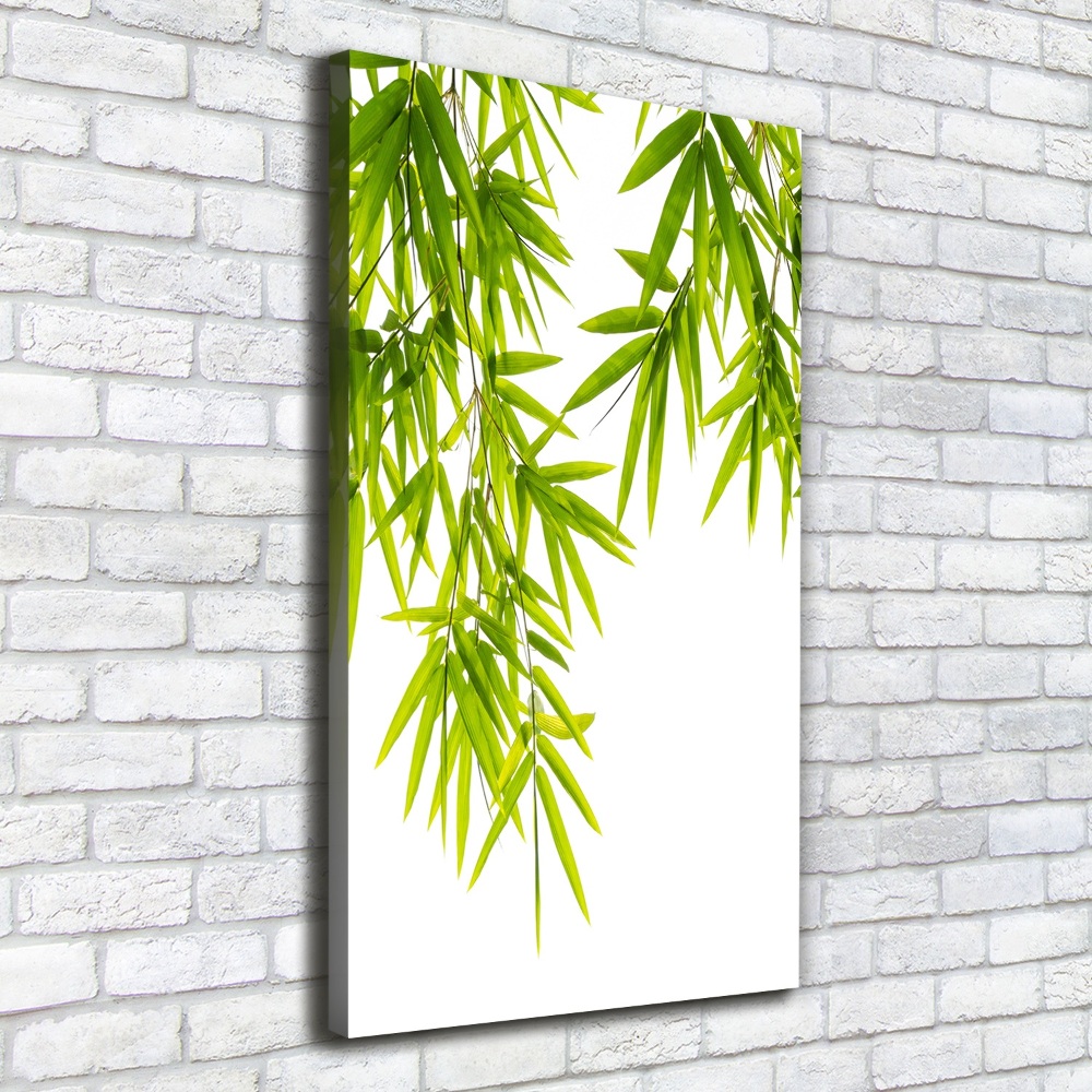 Tableau sur toile Feuilles de bambou