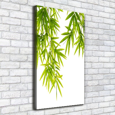 Tableau sur toile Feuilles de bambou