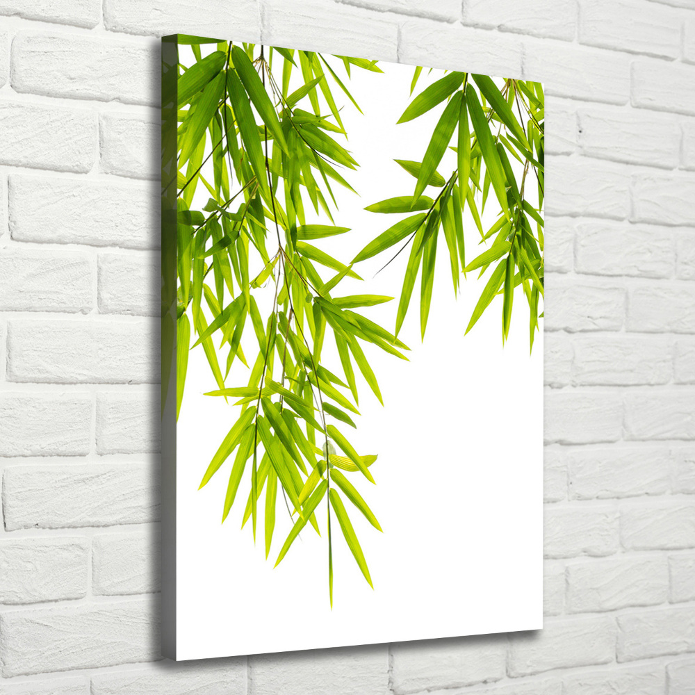 Tableau sur toile Feuilles de bambou