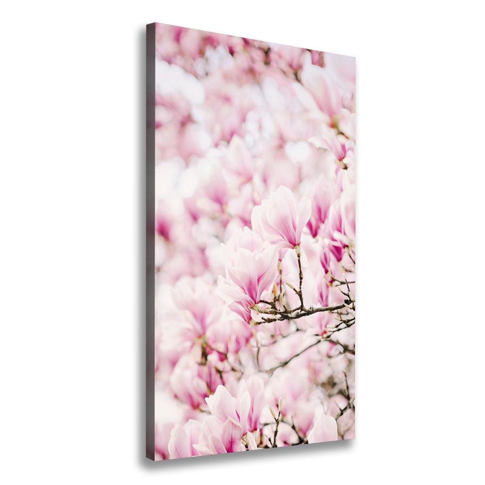 Tableau sur toile Fleurs de magnolia