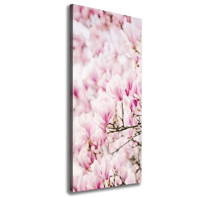 Tableau sur toile Fleurs de magnolia