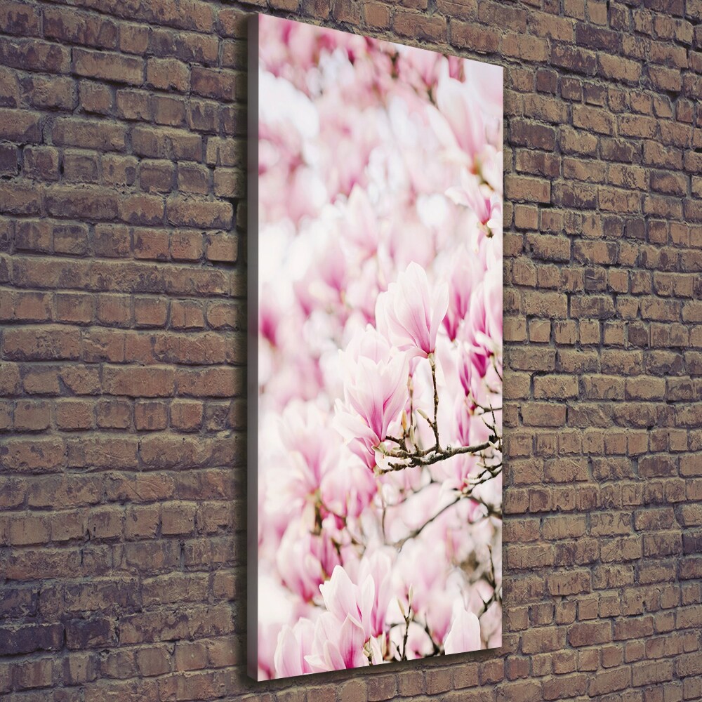 Tableau sur toile Fleurs de magnolia