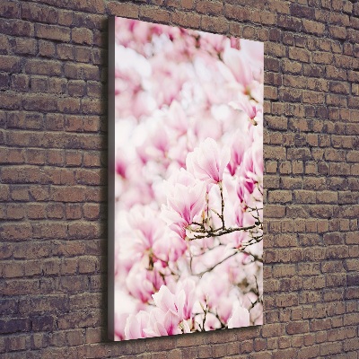 Tableau sur toile Fleurs de magnolia