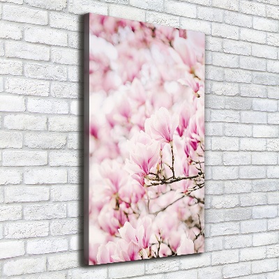 Tableau sur toile Fleurs de magnolia