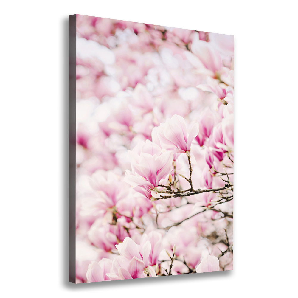 Tableau sur toile Fleurs de magnolia