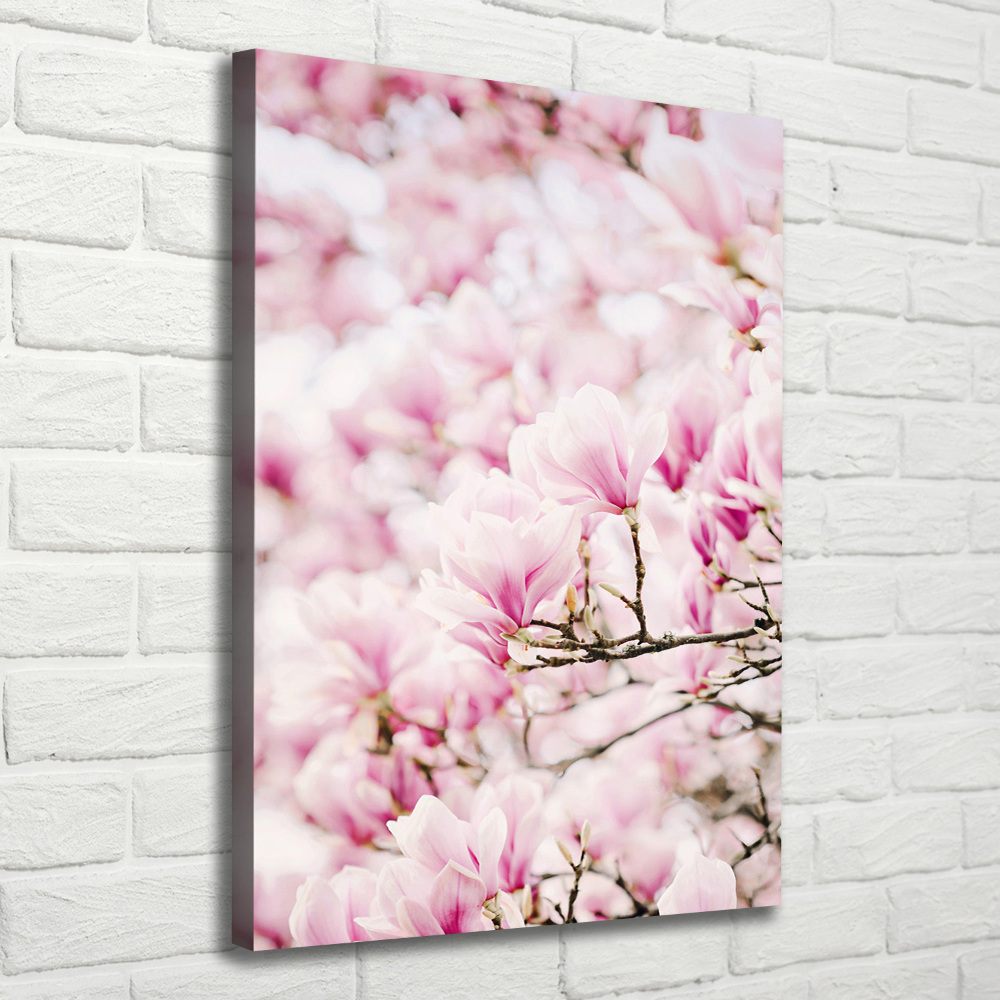 Tableau sur toile Fleurs de magnolia