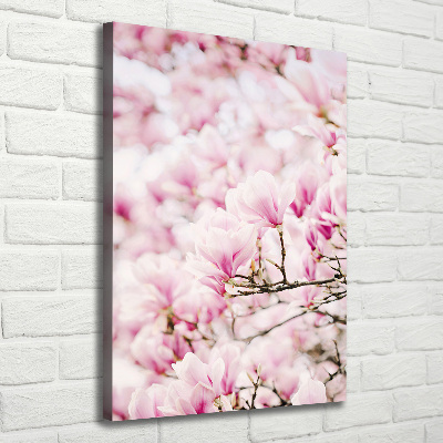 Tableau sur toile Fleurs de magnolia