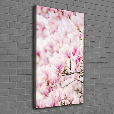 Tableau sur toile Fleurs de magnolia