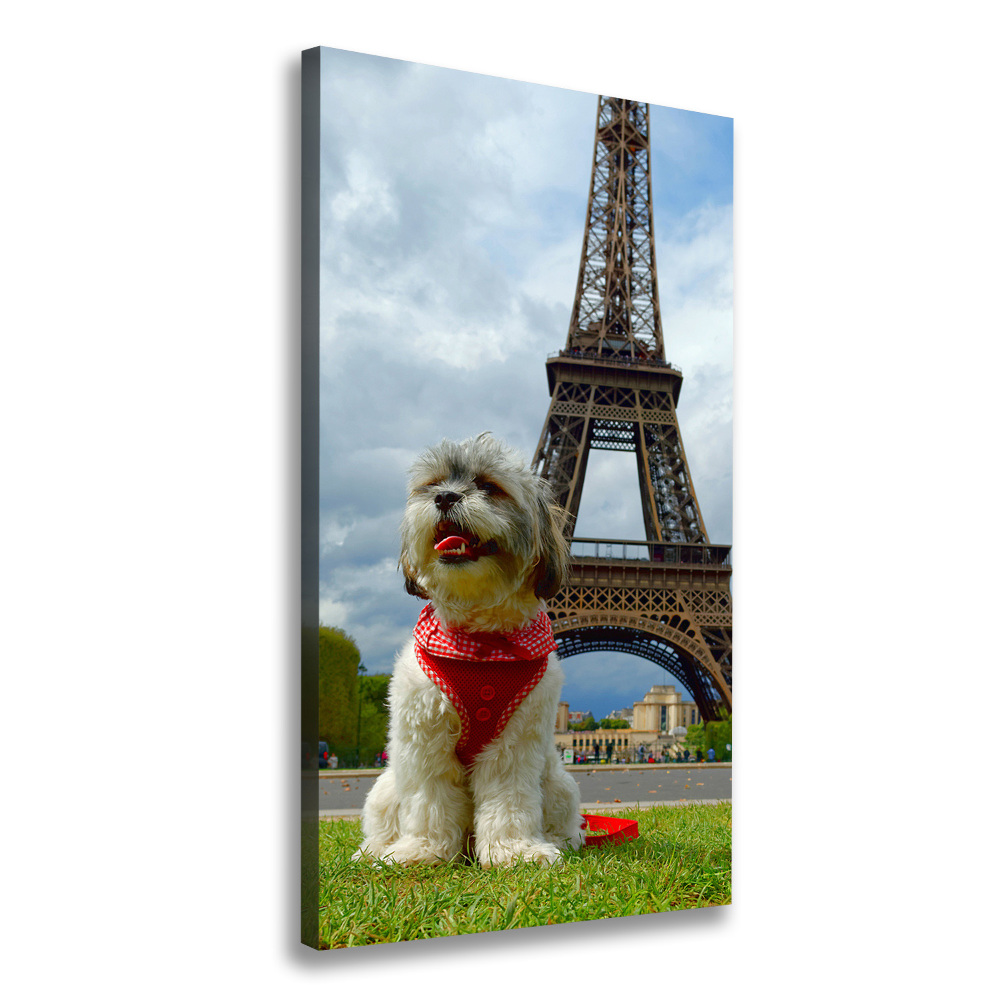 Tableau toile imprimée Chien à Paris