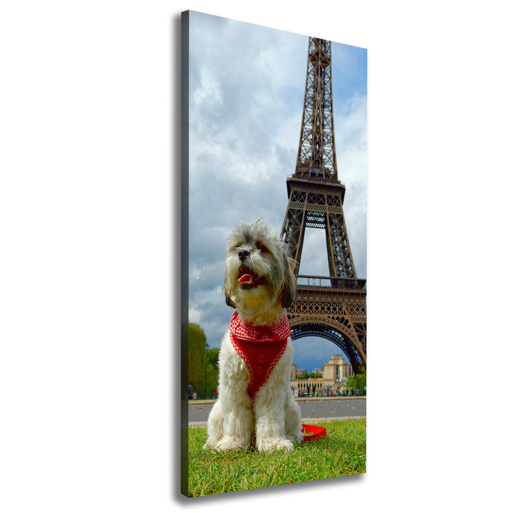 Tableau toile imprimée Chien à Paris