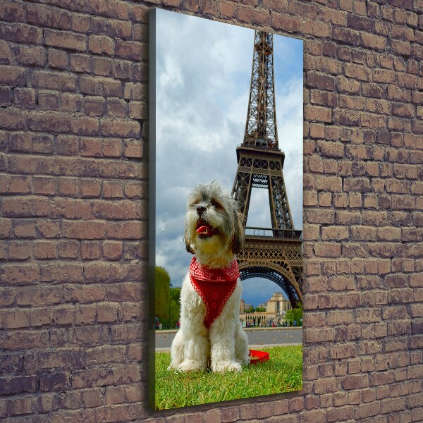 Tableau toile imprimée Chien à Paris