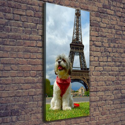 Tableau toile imprimée Chien à Paris