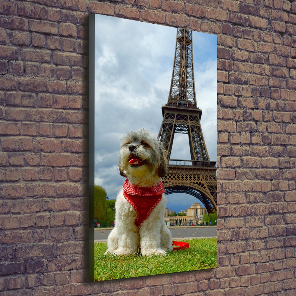 Tableau toile imprimée Chien à Paris