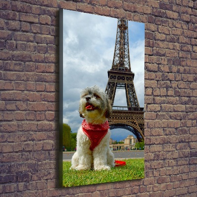 Tableau toile imprimée Chien à Paris