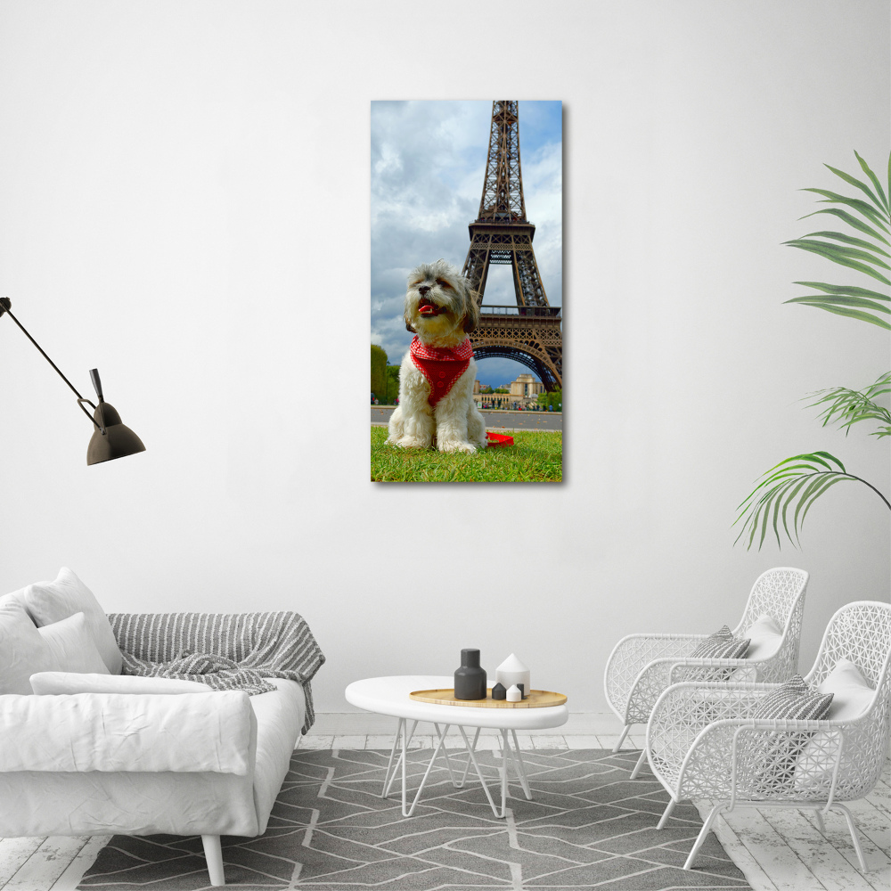 Tableau toile imprimée Chien à Paris