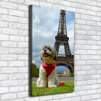 Tableau toile imprimée Chien à Paris