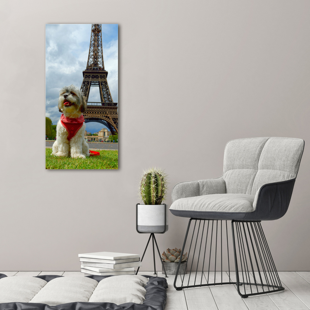 Tableau toile imprimée Chien à Paris