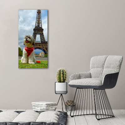 Tableau toile imprimée Chien à Paris