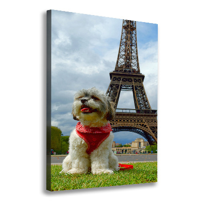 Tableau toile imprimée Chien à Paris