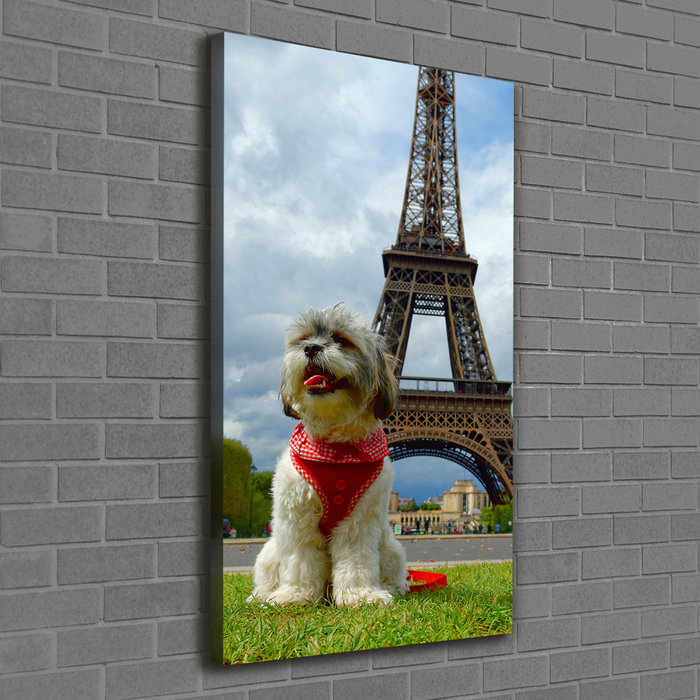 Tableau toile imprimée Chien à Paris