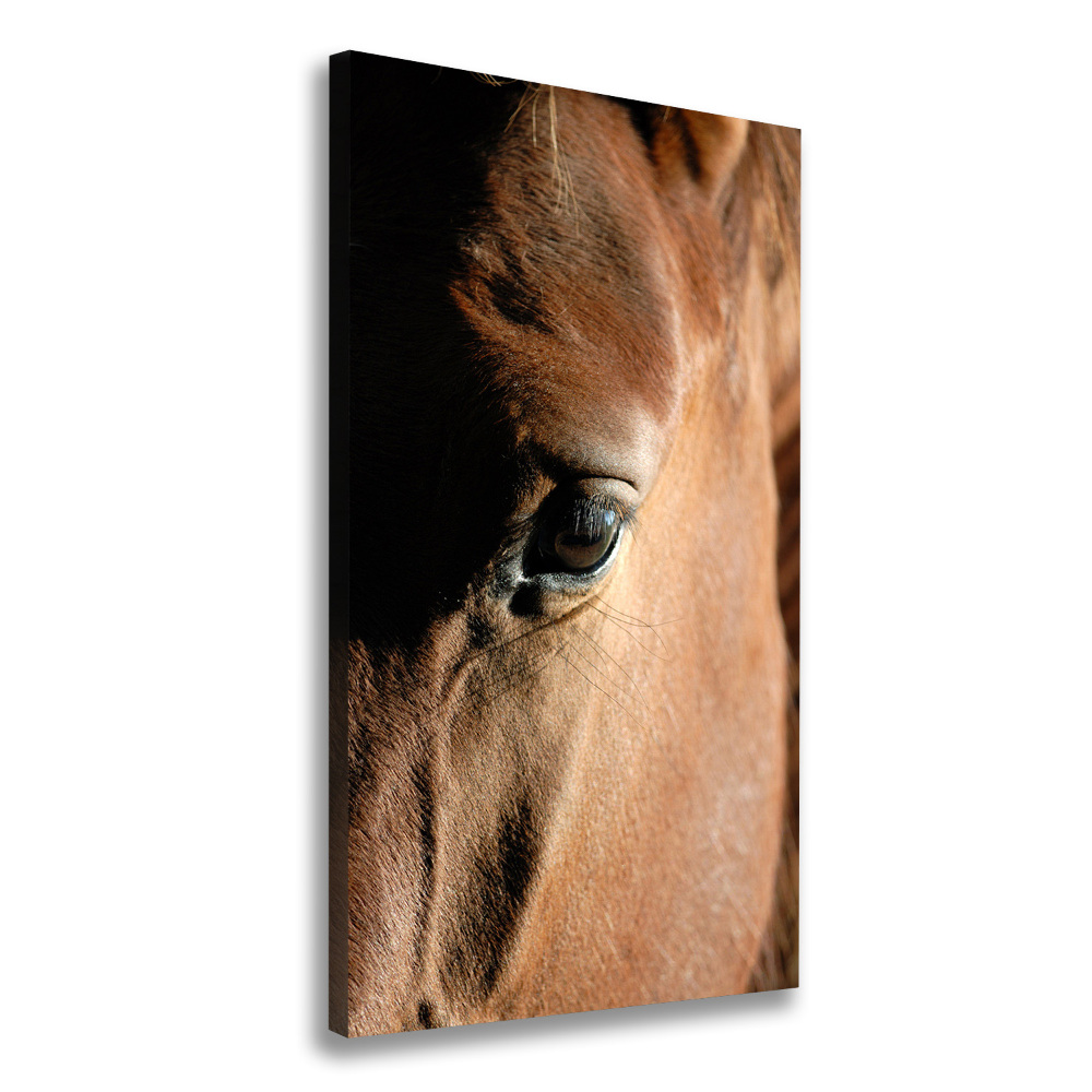 Tableau mural sur toile Cheval