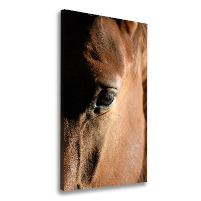 Tableau mural sur toile Cheval