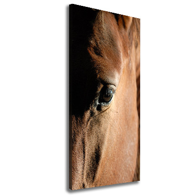 Tableau mural sur toile Cheval