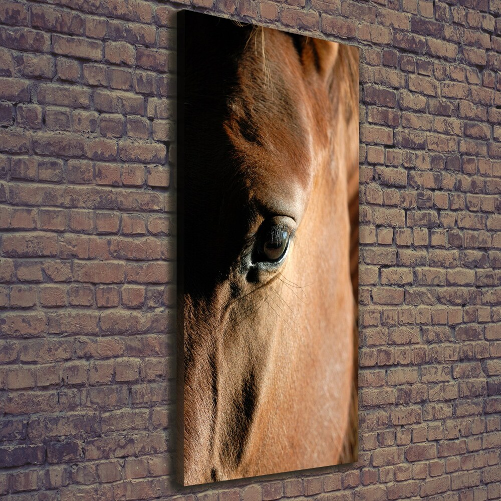 Tableau mural sur toile Cheval