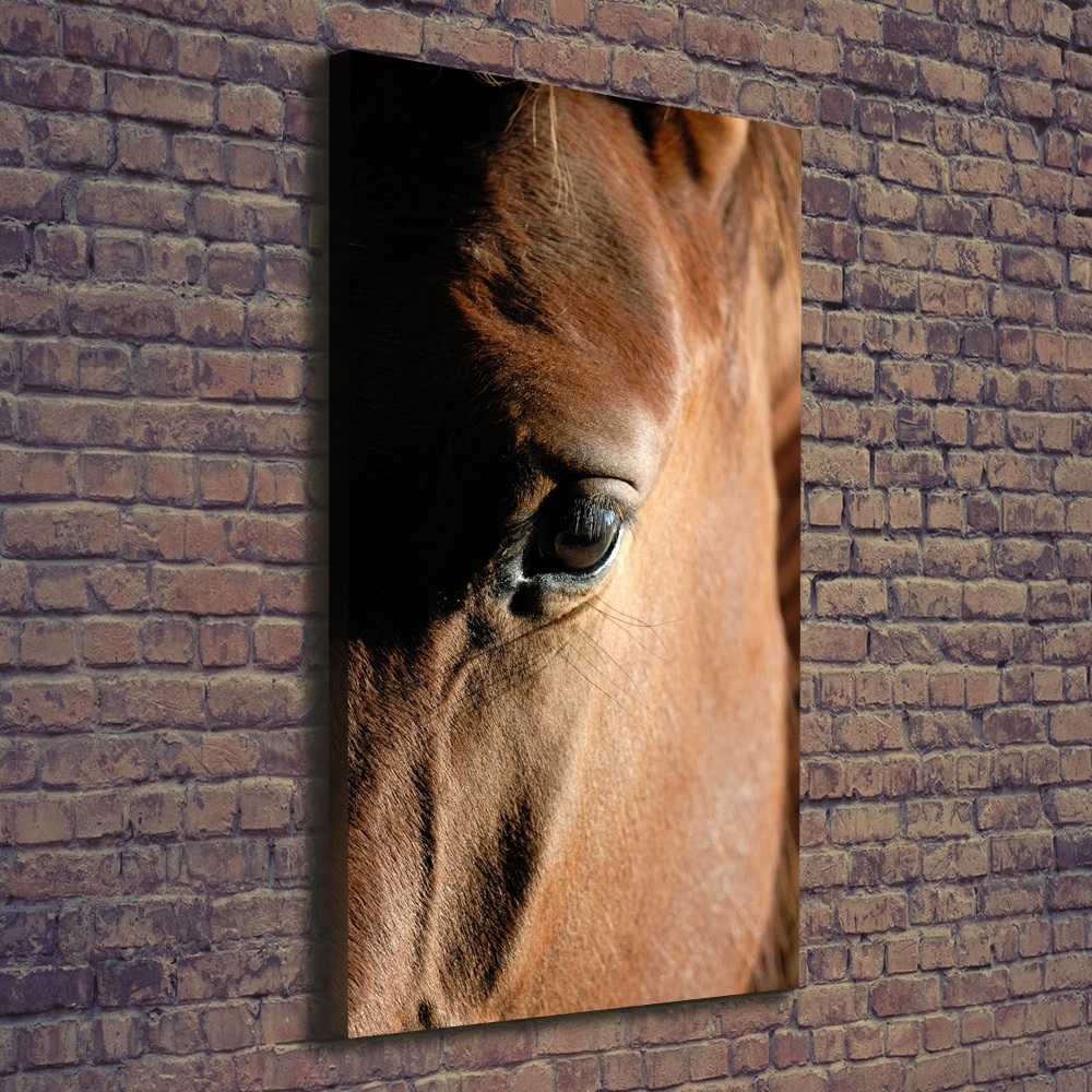 Tableau mural sur toile Cheval