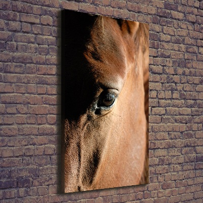 Tableau mural sur toile Cheval