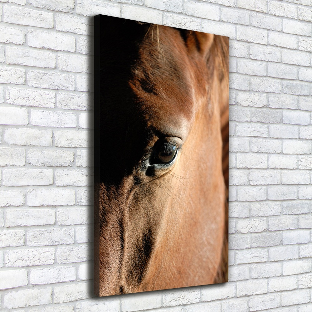 Tableau mural sur toile Cheval