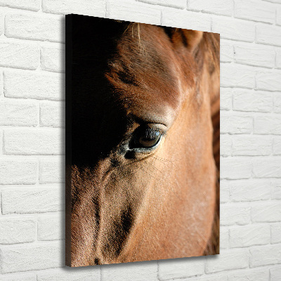 Tableau mural sur toile Cheval