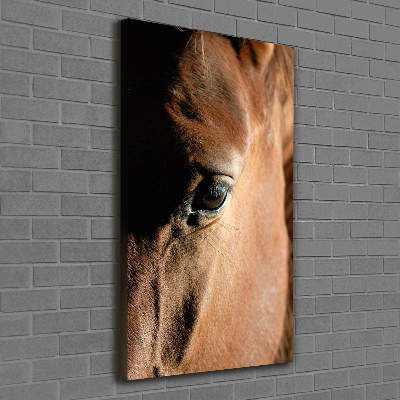 Tableau mural sur toile Cheval