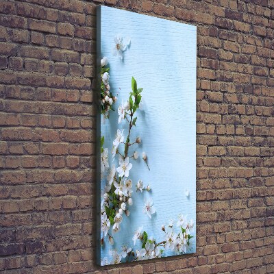 Tableau photo sur toile Fleurs de cerisier