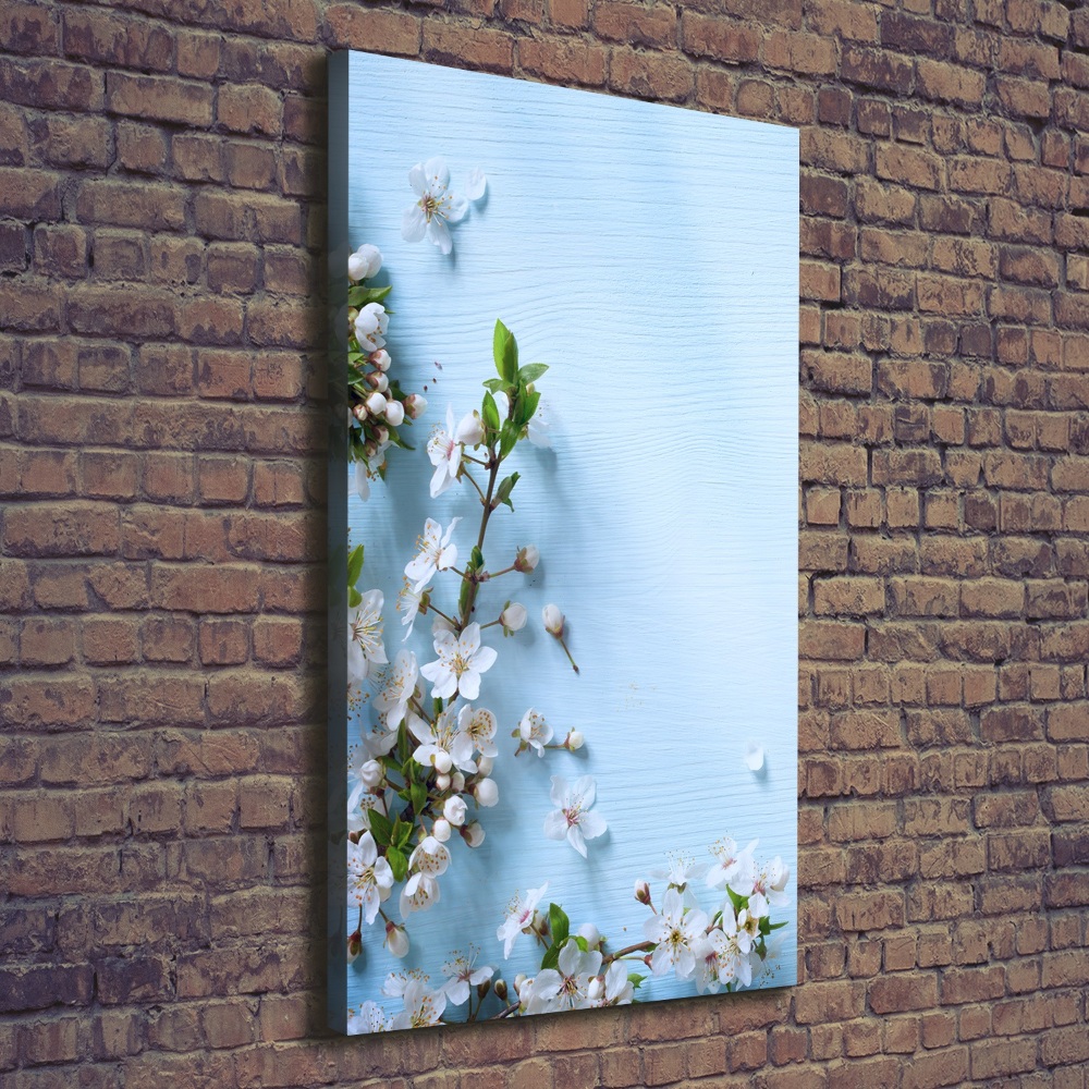 Tableau photo sur toile Fleurs de cerisier