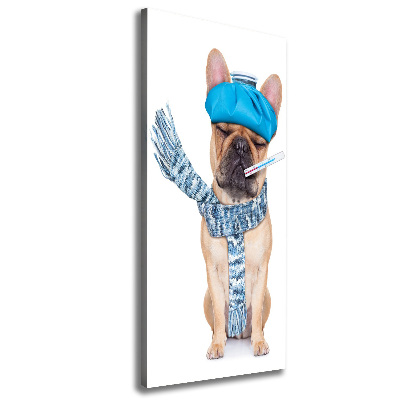 Tableau mural sur toile Chien malade