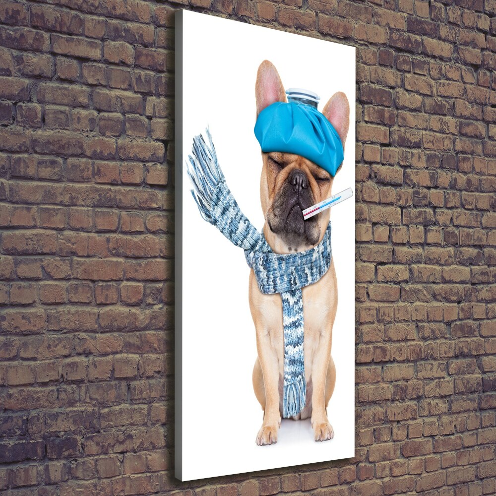 Tableau mural sur toile Chien malade