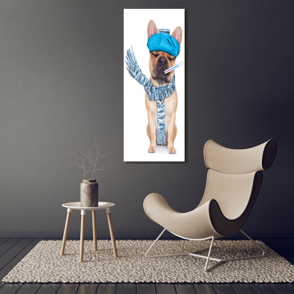 Tableau mural sur toile Chien malade