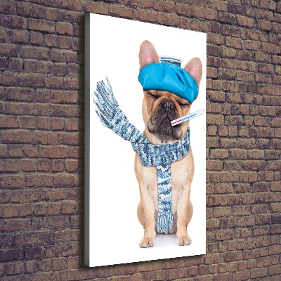 Tableau mural sur toile Chien malade