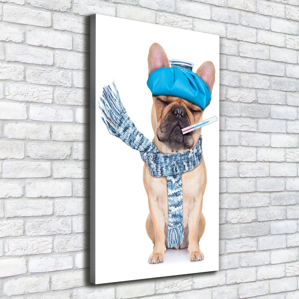 Tableau mural sur toile Chien malade