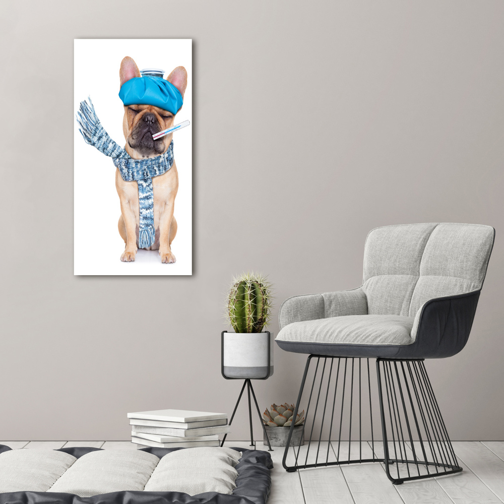 Tableau mural sur toile Chien malade