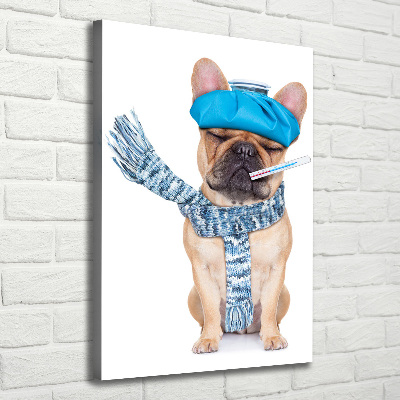 Tableau mural sur toile Chien malade