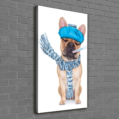 Tableau mural sur toile Chien malade