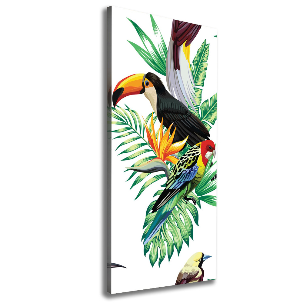 Tableau sur toile Oiseaux tropicaux