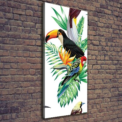 Tableau sur toile Oiseaux tropicaux