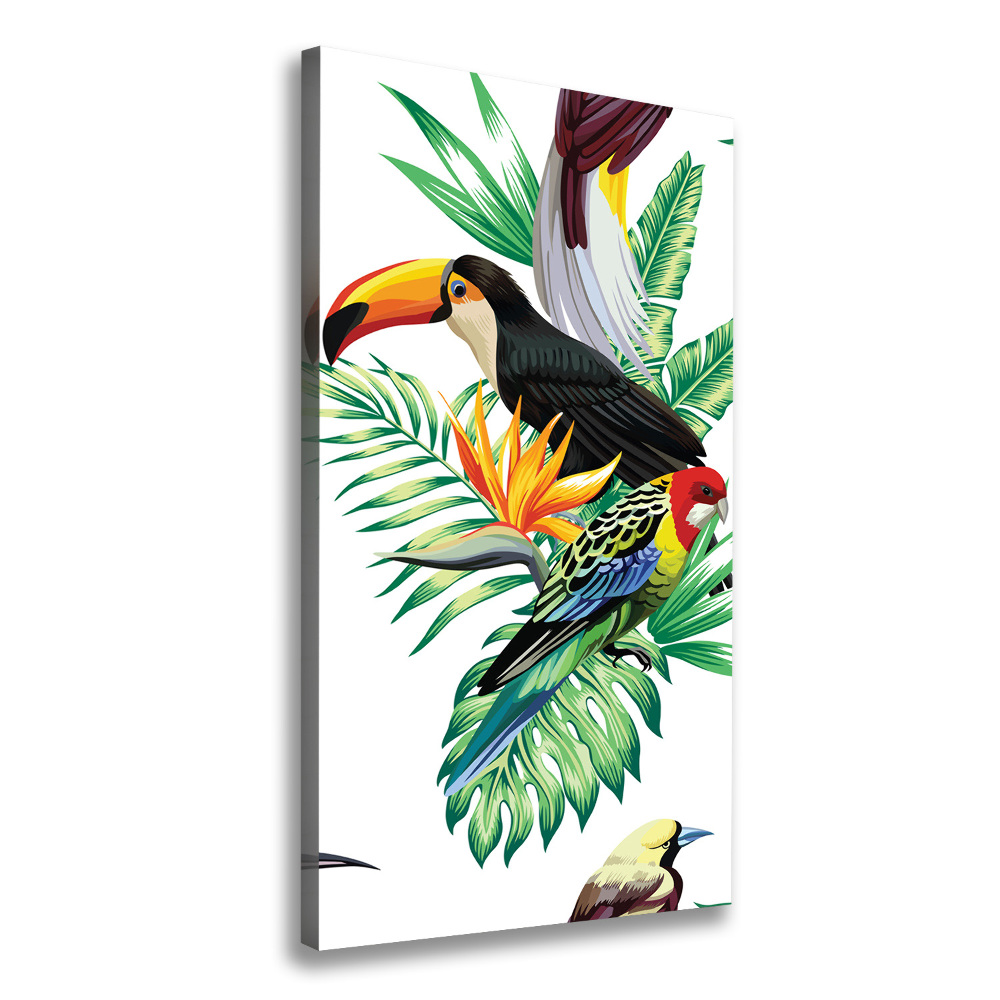 Tableau sur toile Oiseaux tropicaux