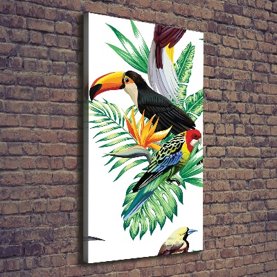 Tableau sur toile Oiseaux tropicaux