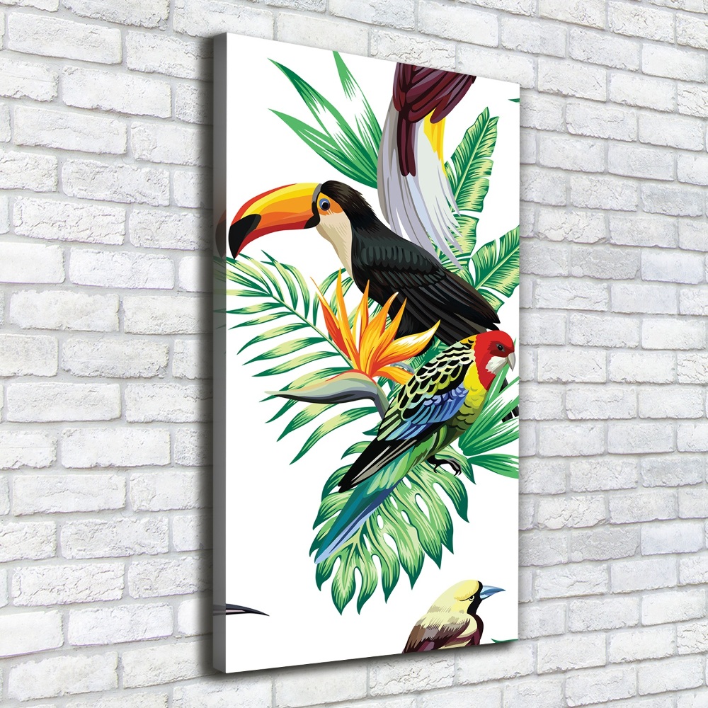 Tableau sur toile Oiseaux tropicaux