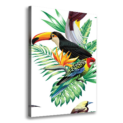 Tableau sur toile Oiseaux tropicaux