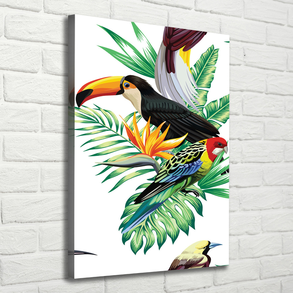 Tableau sur toile Oiseaux tropicaux